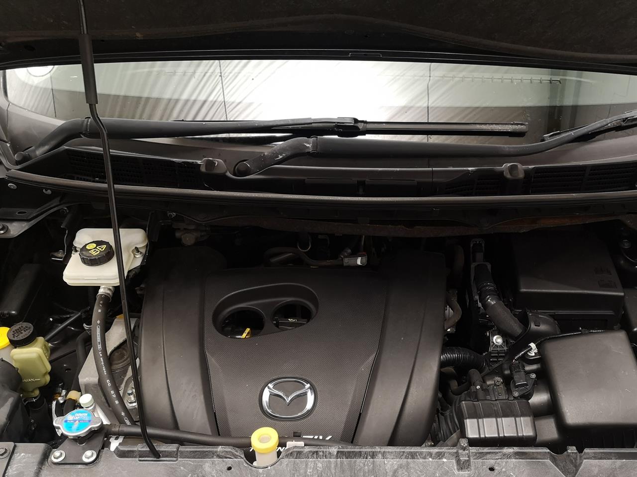 2013 Mazda Biante